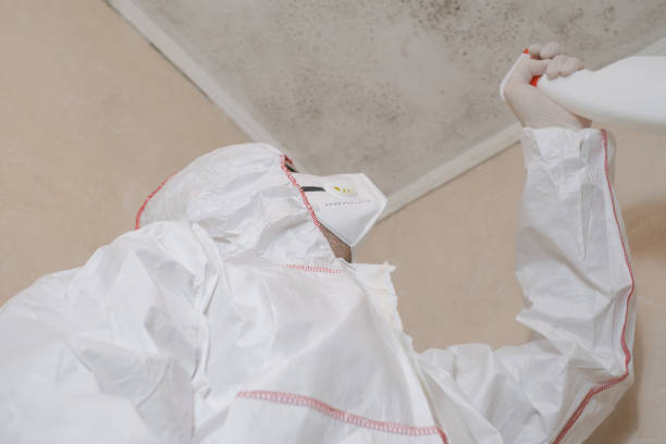 Best Fast Mold Removal  in Margaret, AL